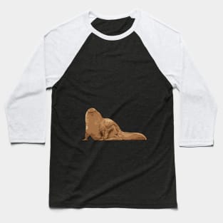 Can I Keep It? Baseball T-Shirt